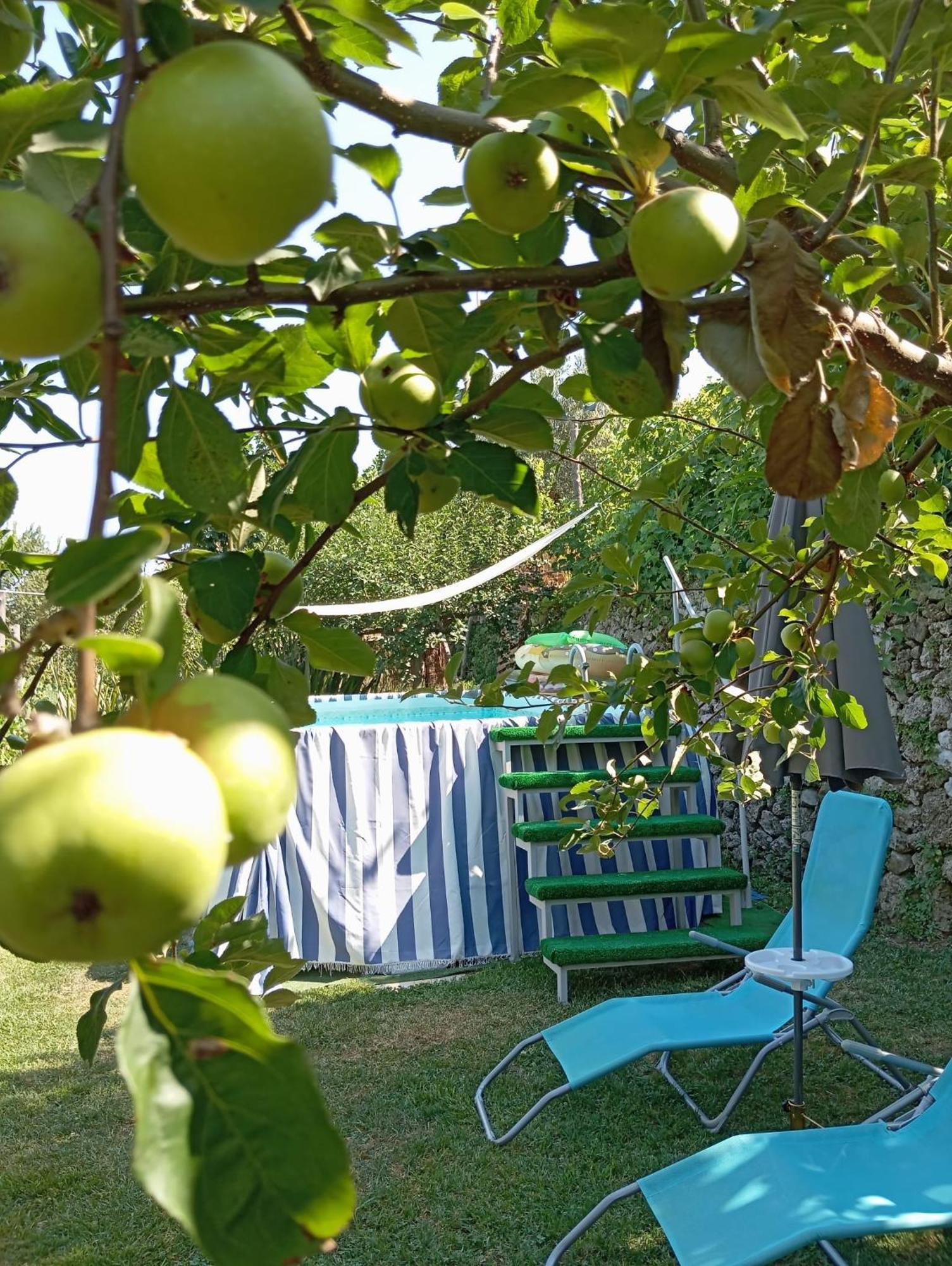 Casa Mia Villa Scala Eksteriør bilde